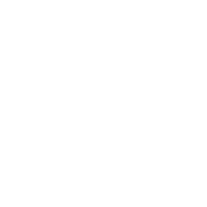 p-logo